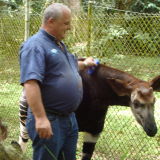 Photo de profil de Joel Morel