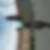 Photo de profil de Christian Sabot