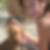 Photo de profil de Emilie Sauvagnac