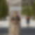 Photo de profil de Thierry Campodarve