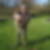 Photo de profil de Jean Marc Tibika