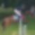 Photo de profil de Edward Chambon