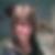 Photo de profil de Velinna Frebillot