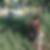Photo de profil de Veronique Bigot