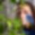 Photo de profil de Manuella Occhipinti