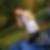 Photo de profil de Ludovic Bonhomme