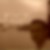 Photo de profil de Franck Charrier