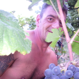 Photo de profil de Olivier Cloiseau