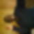 Photo de profil de Patrick Seme Misse