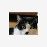Photo de profil de Claudia Angele