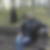 Photo de profil de Karim Abouyoussef