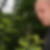 Photo de profil de Christian Meynier
