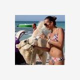 Photo de profil de Lily Smith