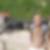 Photo de profil de Loic Richer