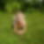 Photo de profil de Marjorie Houbart