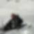 Photo de profil de Annabelle Bouverne
