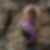 Photo de profil de Catherine Thureau