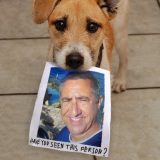 Photo de profil de Jean Claude Jaulin