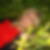 Photo de profil de Delphine Vauchot