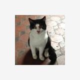 Photo de profil de Laure Durupt