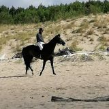 Photo de profil de Carole Gérard