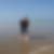 Photo de profil de Veronique Vaissié