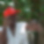 Photo de profil de Hippolyte Rapon