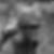 Photo de profil de Fred Brasme