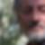 Photo de profil de Alain Peduzzi