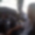 Photo de profil de Shail Piyaraly