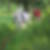 Photo de profil de Arlette Gilquin