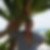 Photo de profil de Didier Pauwels