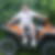 Photo de profil de Wilfried Andre