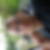 Photo de profil de Erwan Morice