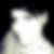 Photo de profil de Carole Penide