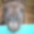 Photo de profil de Noele Cherpantier