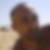 Photo de profil de Philippe Ducher