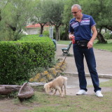 Photo de profil de Jacques Simon