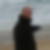 Photo de profil de Olivier Destenay