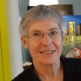 Photo de profil de Marie-Noëlle Croisot
