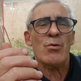 Photo de profil de François Oliva