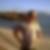 Photo de profil de Gildas Le Pessec