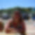 Photo de profil de Murielle Chatelain