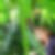 Photo de profil de Lyane Bayssat
