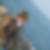 Photo de profil de Veronique Prigent