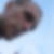 Photo de profil de Alexandre Dubois