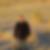 Photo de profil de Jacques Denouette