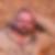 Photo de profil de Armand Fosse
