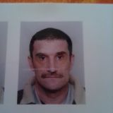 Photo de profil de Albert Maurel