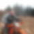 Photo de profil de Eric Lugnier